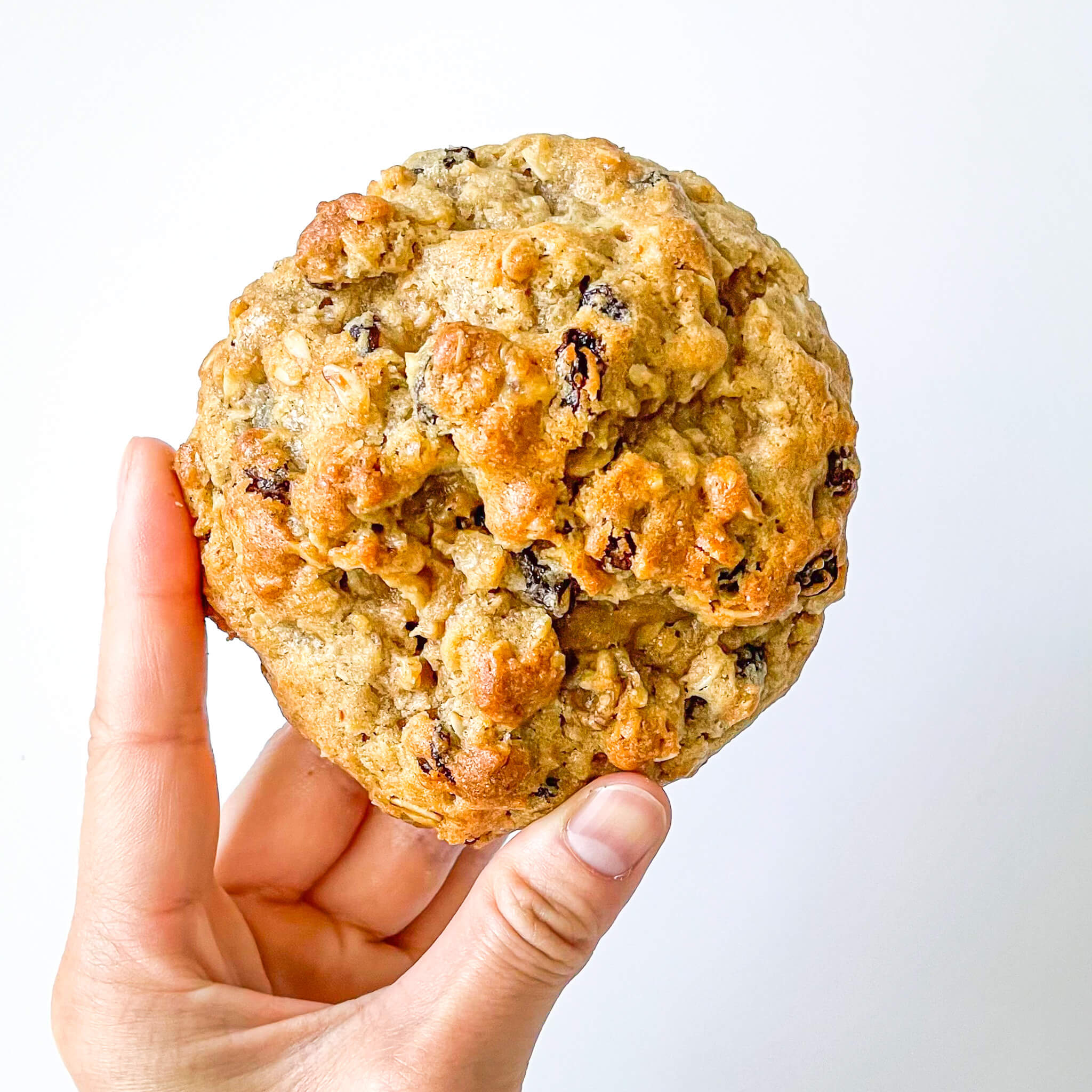 holding a single oatmeal raisin pudges in all its golden glory. some raisins showing through